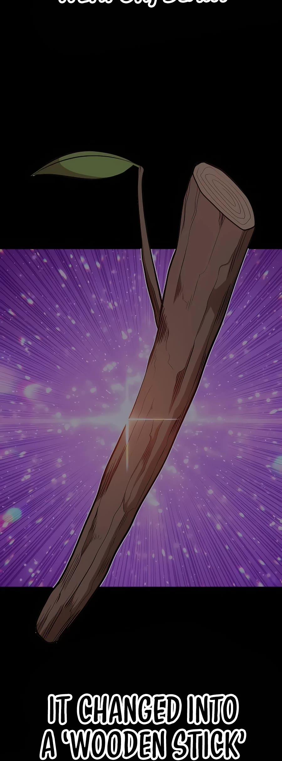 +99 Reinforced Wooden Stick chapter 50.6 page 116
