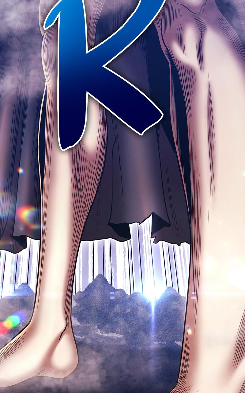 +99 Reinforced Wooden Stick chapter 95 page 263