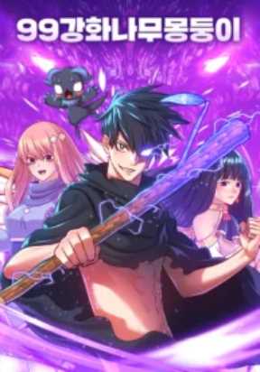 Cover of +99 Wooden stick