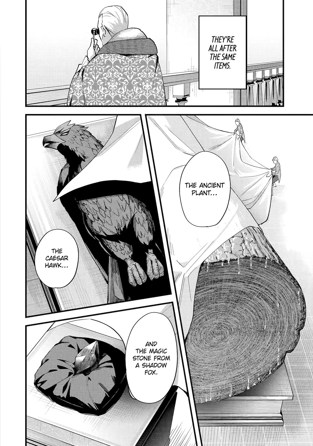 A Boy Who Has Been Reincarnated Twice Spends Peacefully as an S-Rank Adventurer, ~ I who was a Sage and a Hero of Previous World, Will Live in Peacefullness in the Next World~ chapter 45 page 4