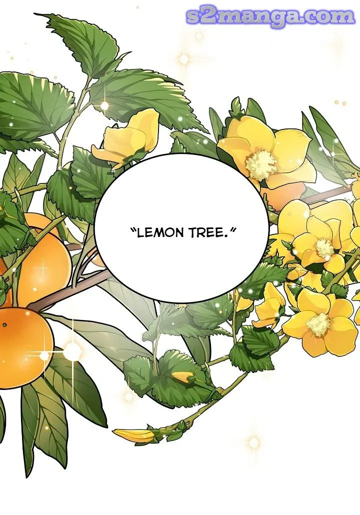 A Divorced Evil Lady Bakes Cakes chapter 10.5 page 8