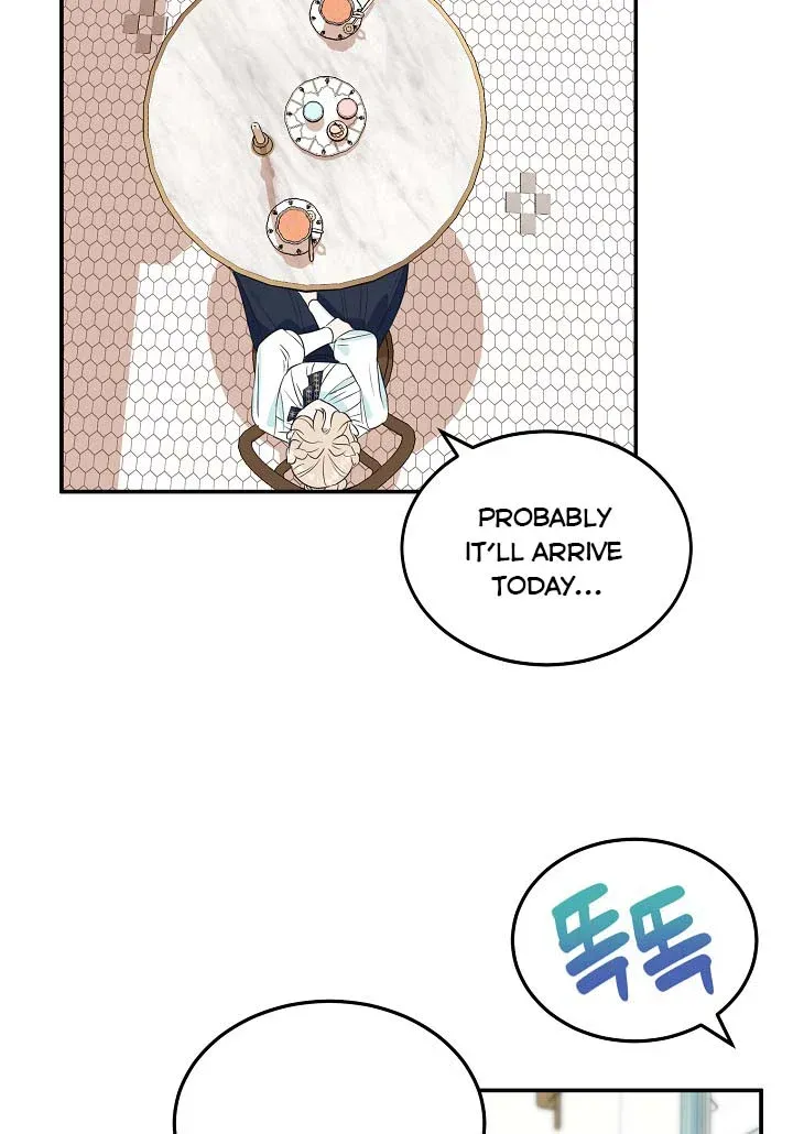 A Divorced Evil Lady Bakes Cakes chapter 5.5 page 13