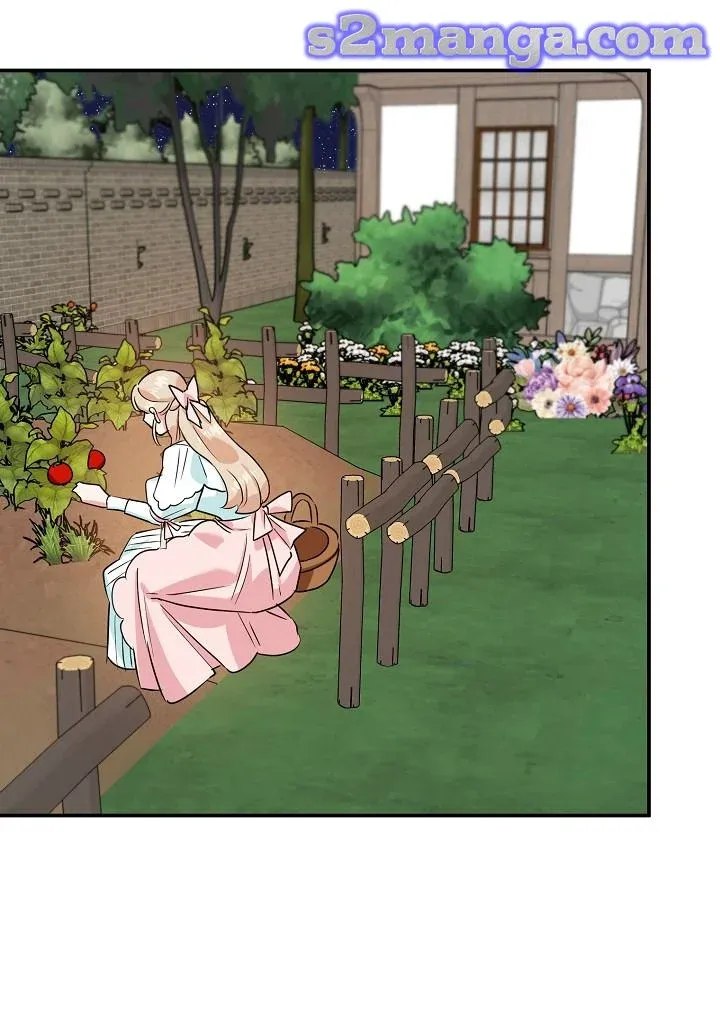 A Divorced Evil Lady Bakes Cakes chapter 9.5 page 14