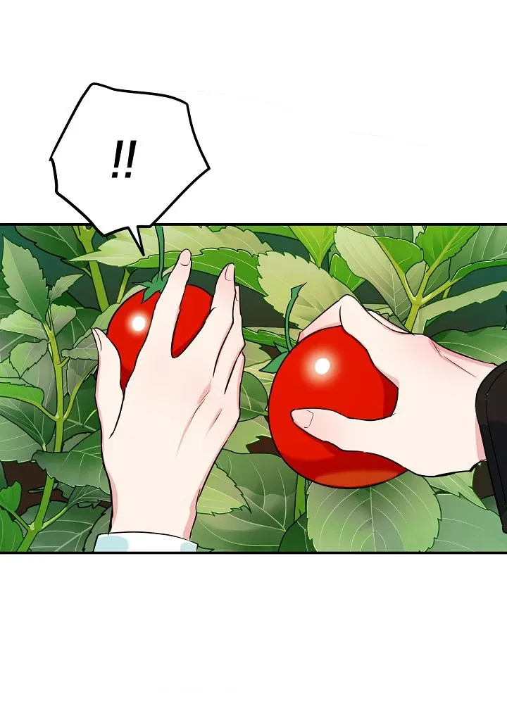 A Divorced Evil Lady Bakes Cakes chapter 9.5 page 15