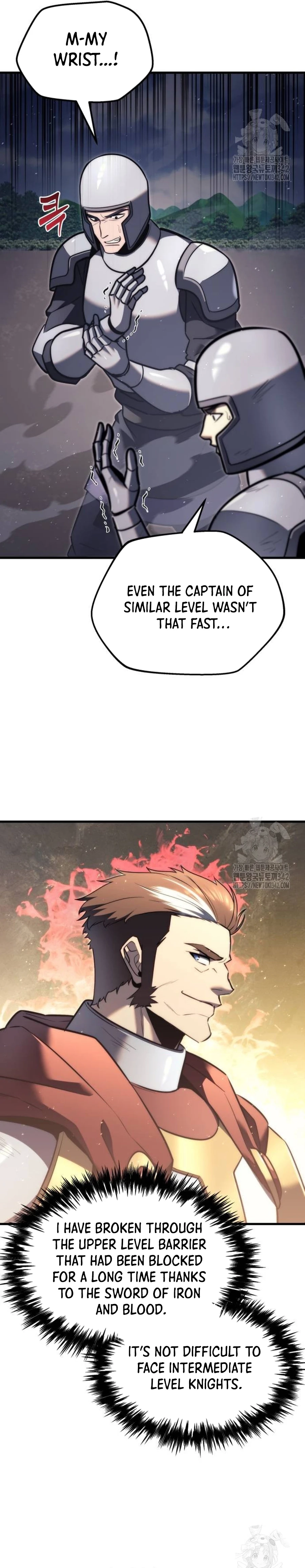 A Flame Reborn chapter 40 page 29