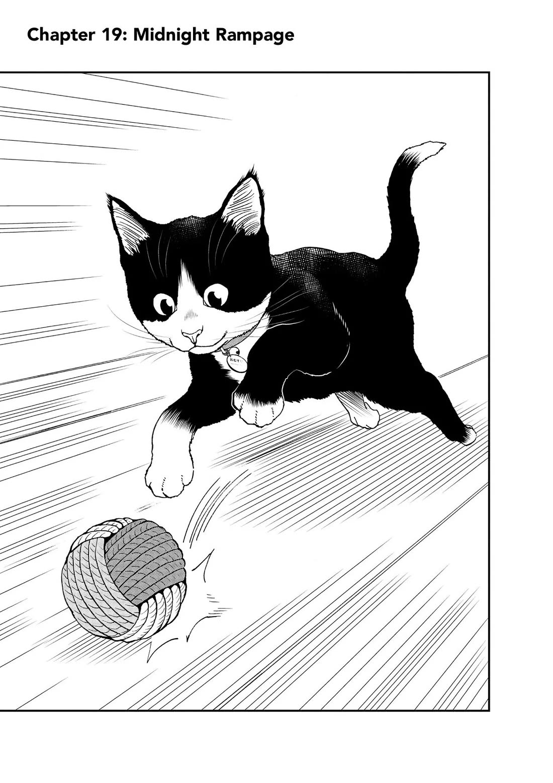 A Gamer Living with a Cat chapter 19 page 1