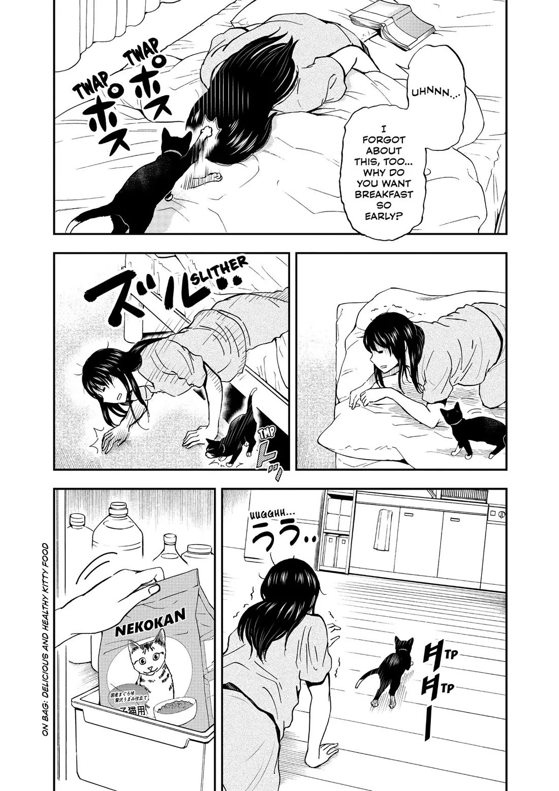 A Gamer Living with a Cat chapter 19 page 9