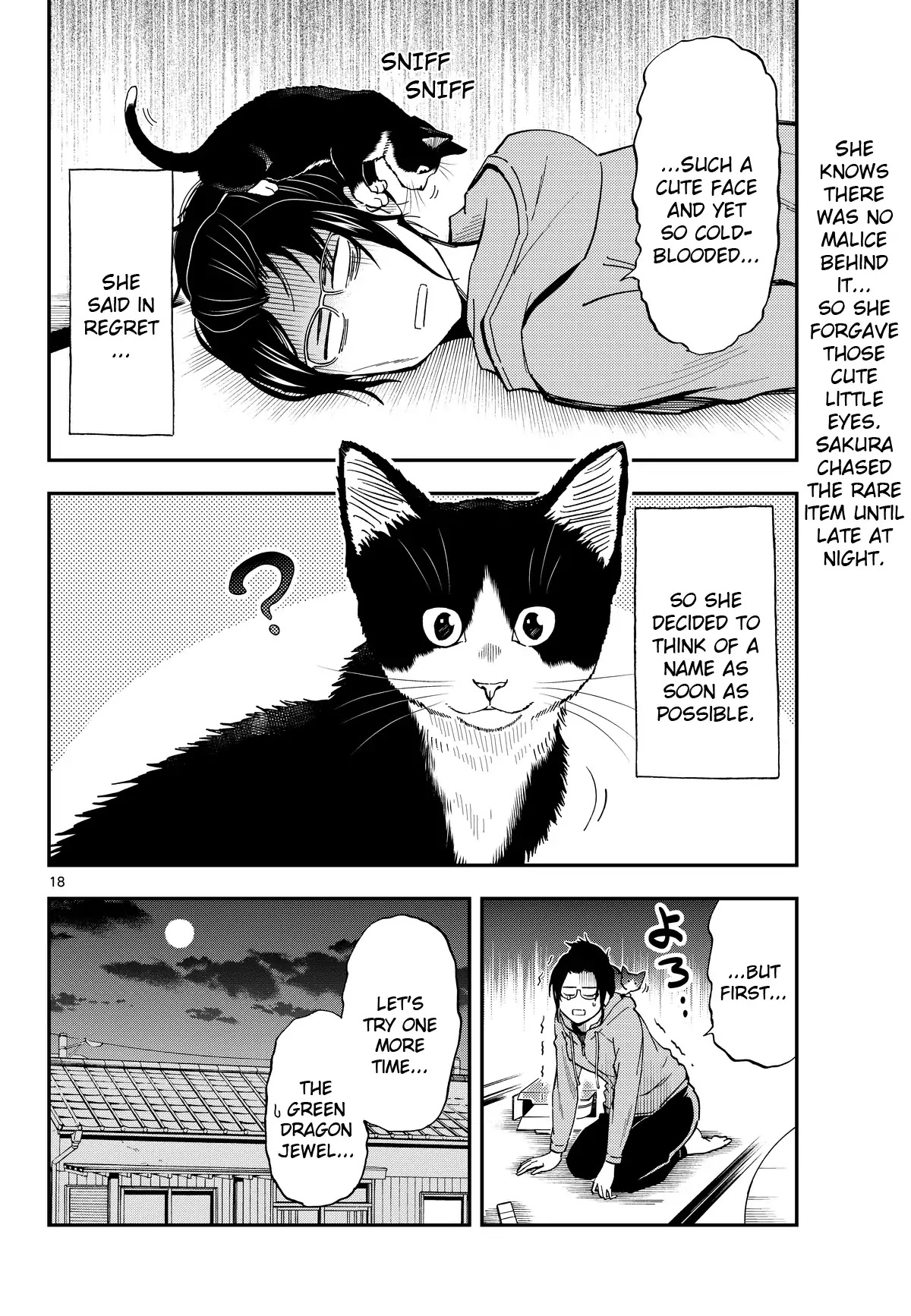 A Gamer Living with a Cat chapter 2 page 18