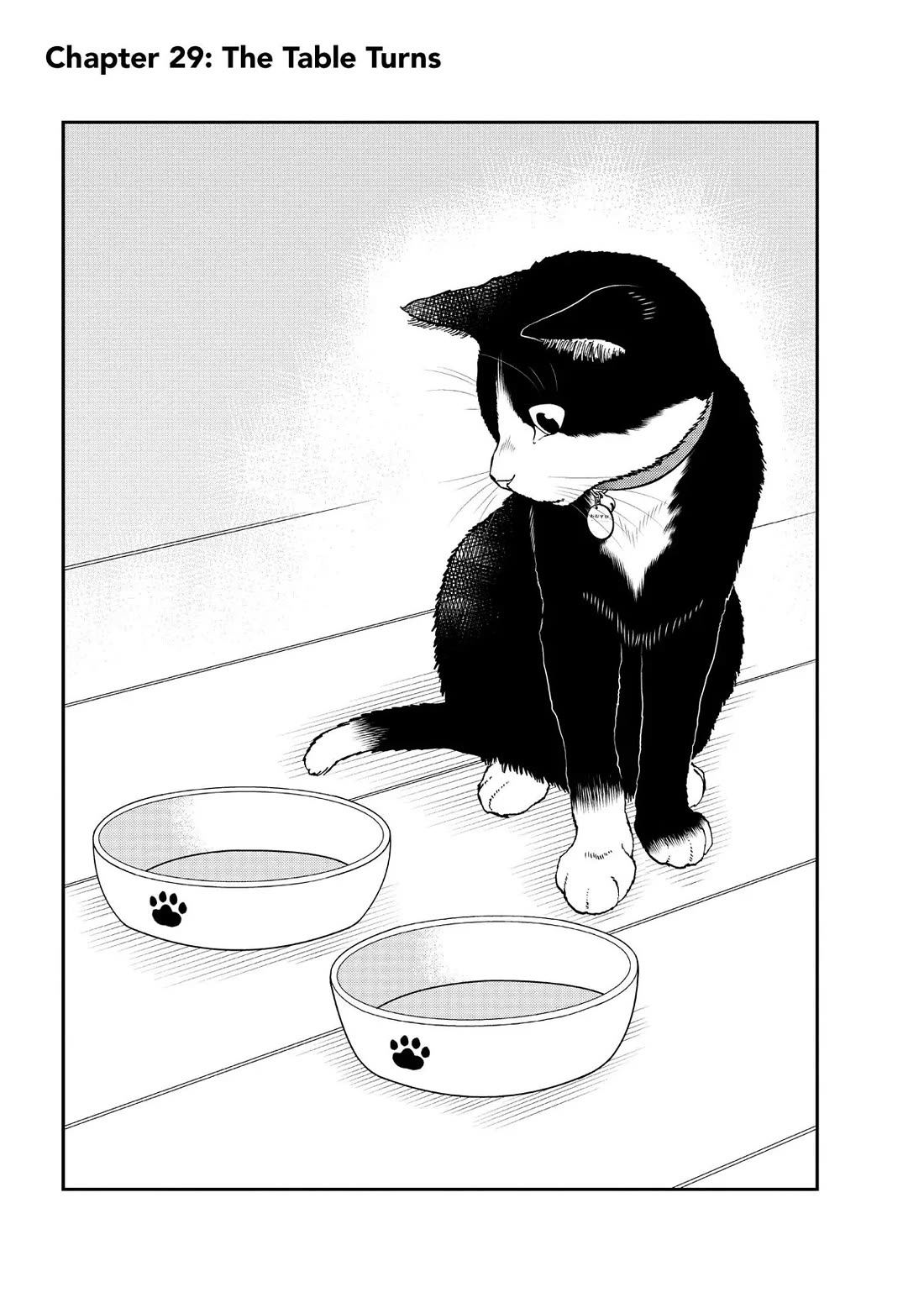 A Gamer Living with a Cat chapter 29 page 1