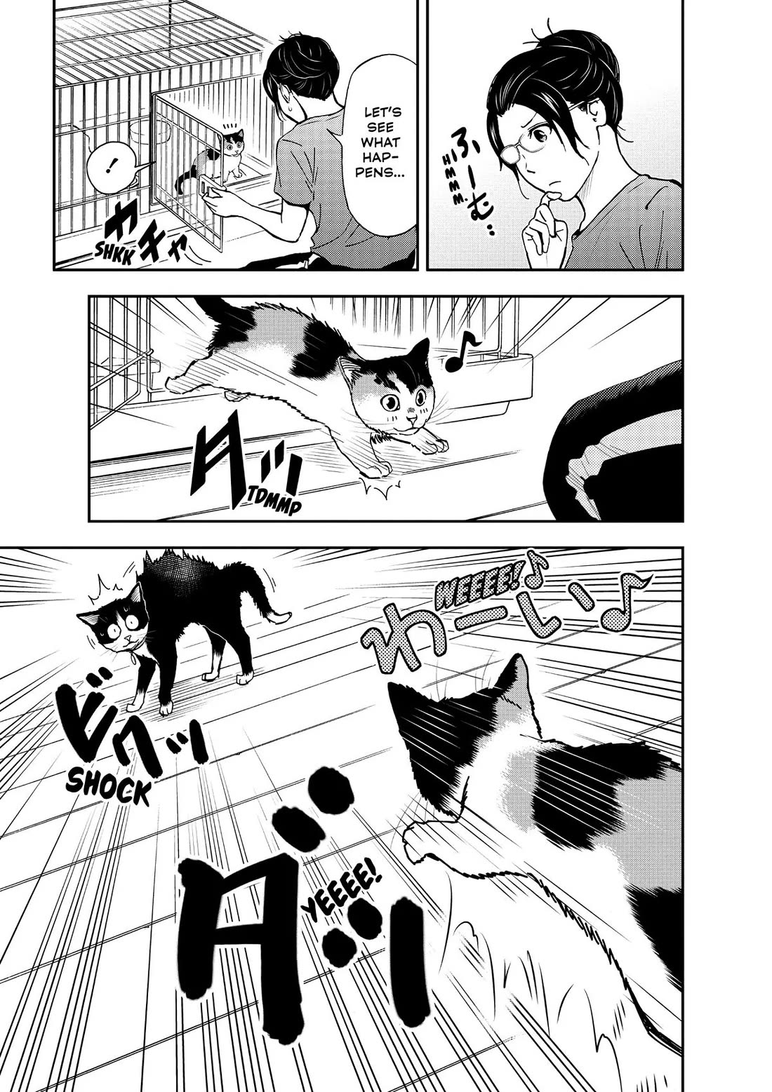 A Gamer Living with a Cat chapter 29 page 11