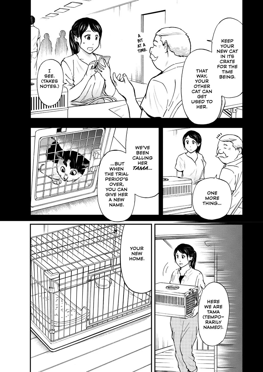 A Gamer Living with a Cat chapter 29 page 4