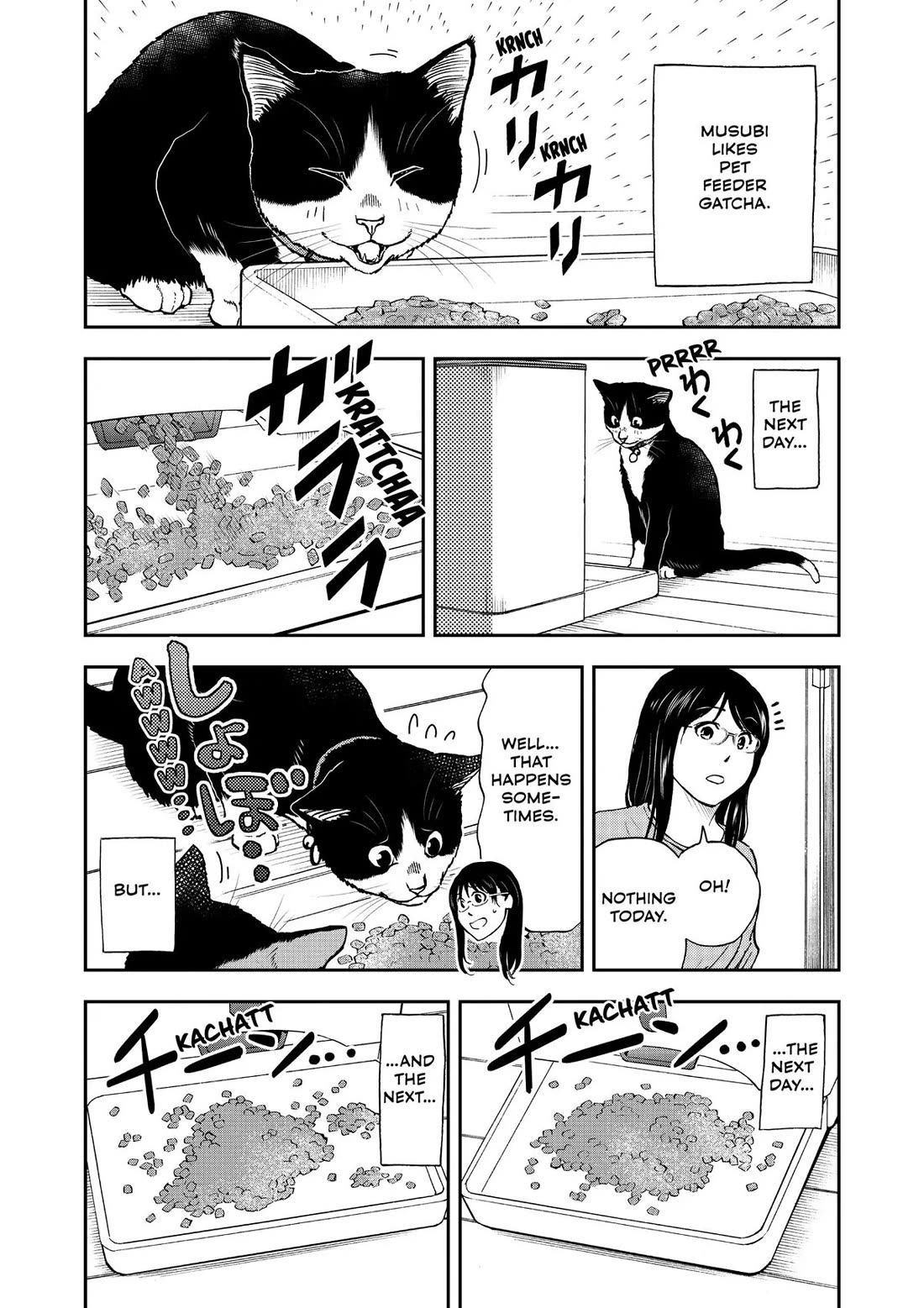 A Gamer Living with a Cat chapter 36 page 13