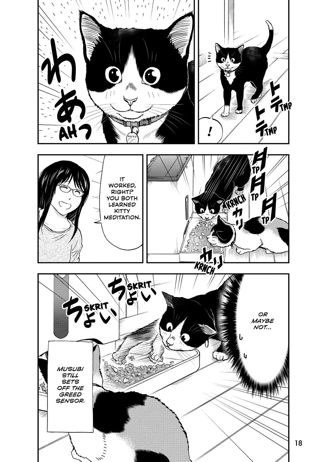 A Gamer Living with a Cat chapter 36 page 17