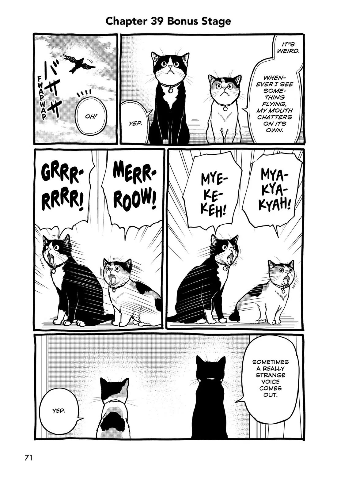 A Gamer Living with a Cat chapter 39 page 11