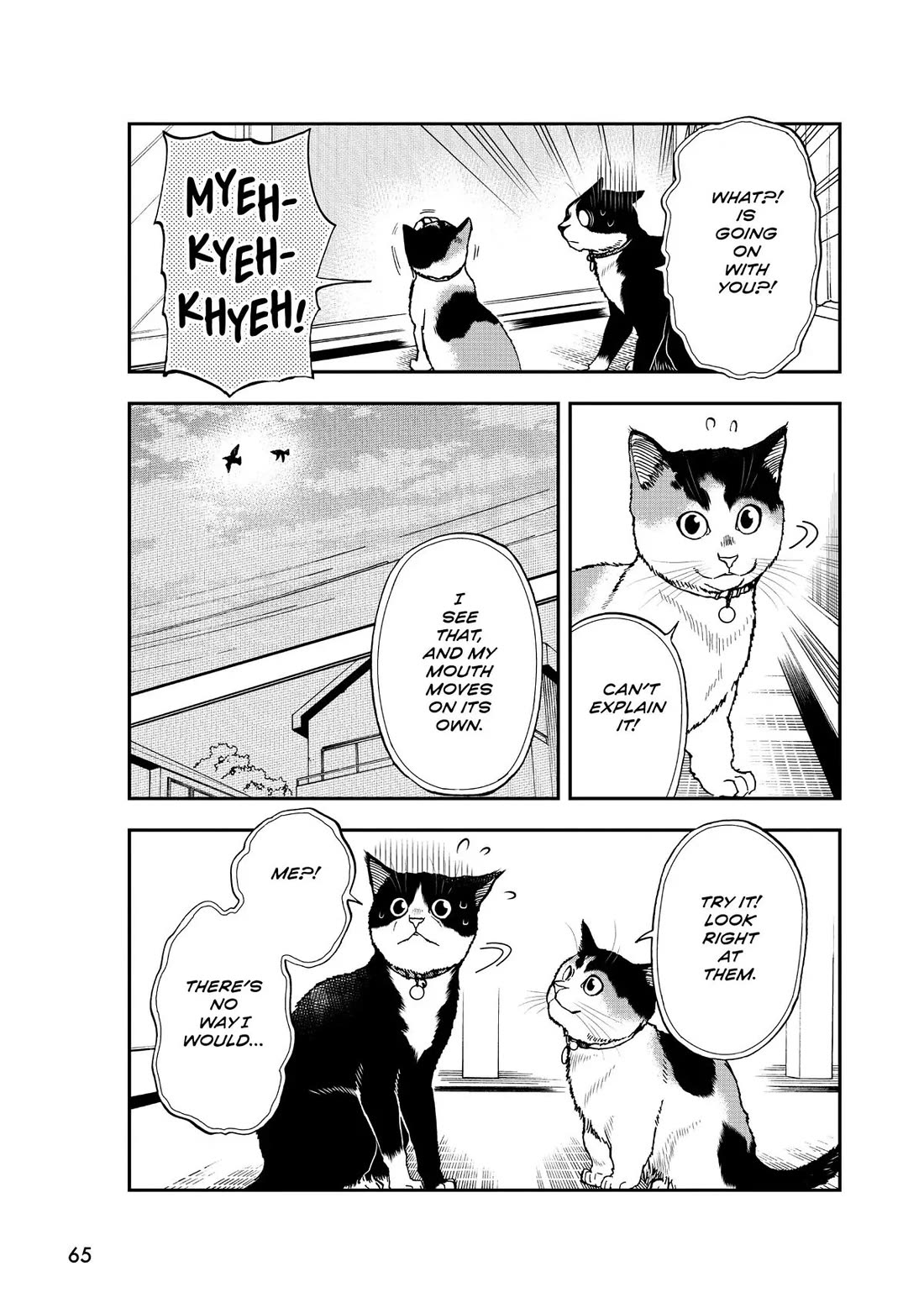 A Gamer Living with a Cat chapter 39 page 5