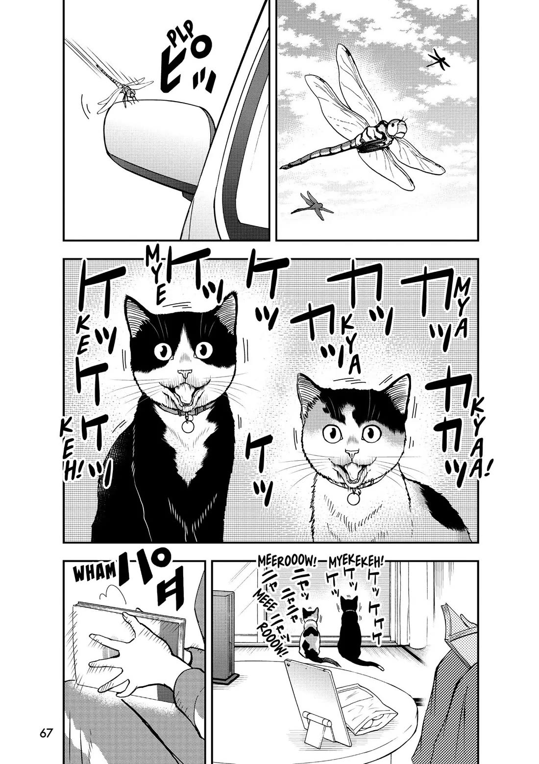 A Gamer Living with a Cat chapter 39 page 7