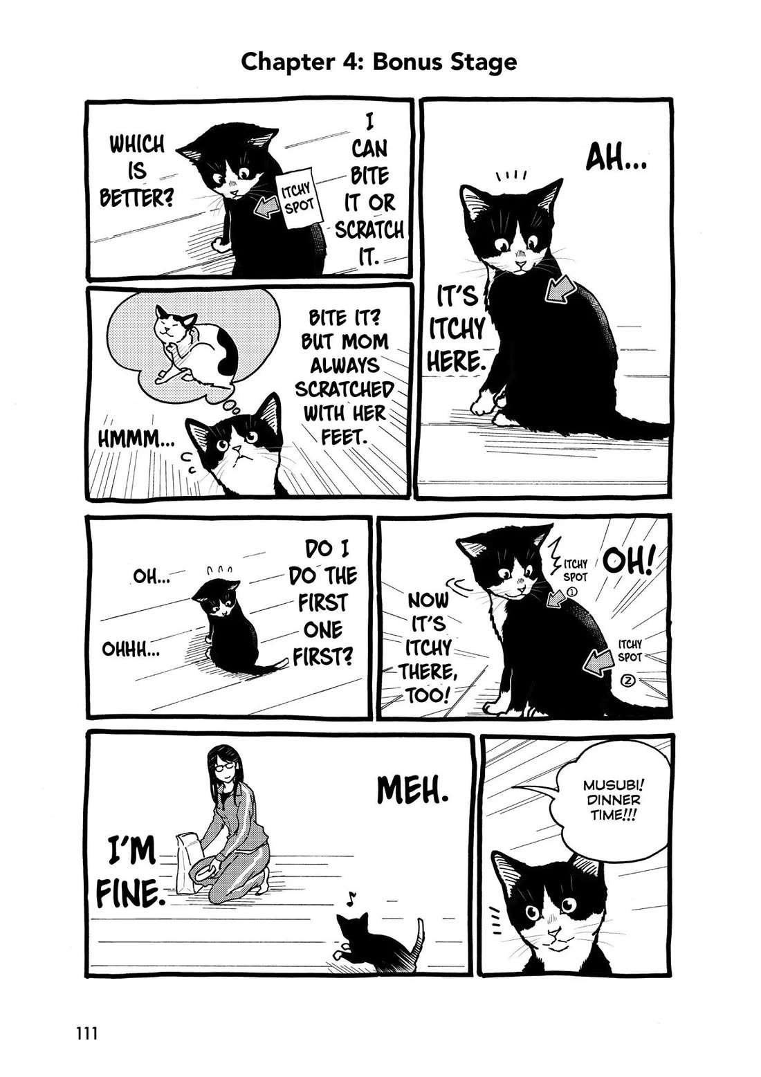 A Gamer Living with a Cat chapter 4 page 17