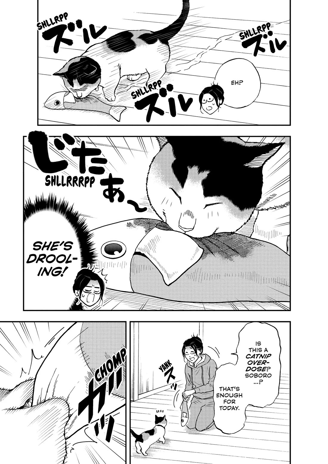 A Gamer Living with a Cat chapter 63 page 11