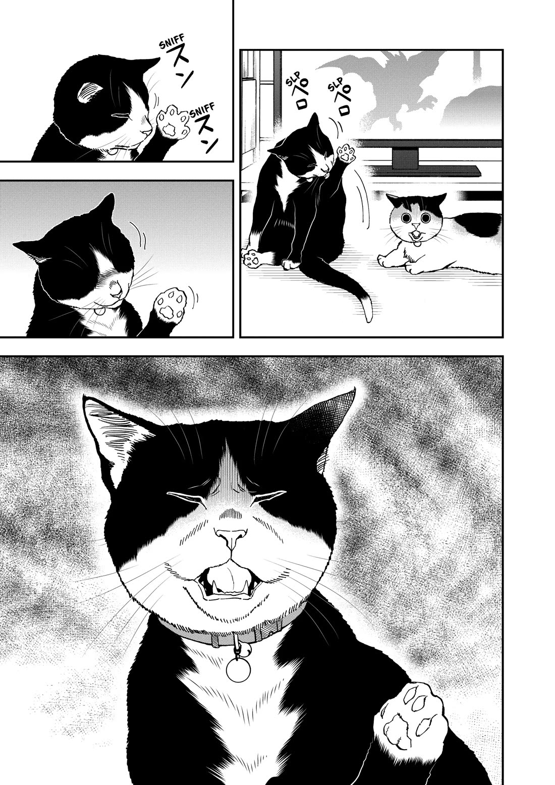 A Gamer Living with a Cat chapter 67 page 11