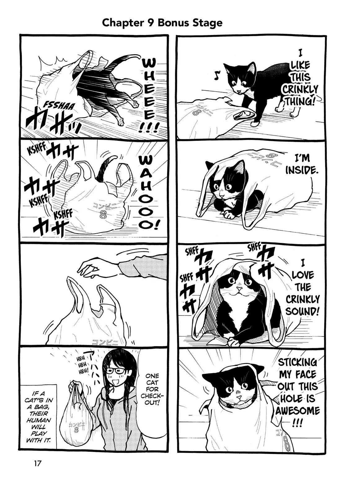 A Gamer Living with a Cat chapter 9 page 17