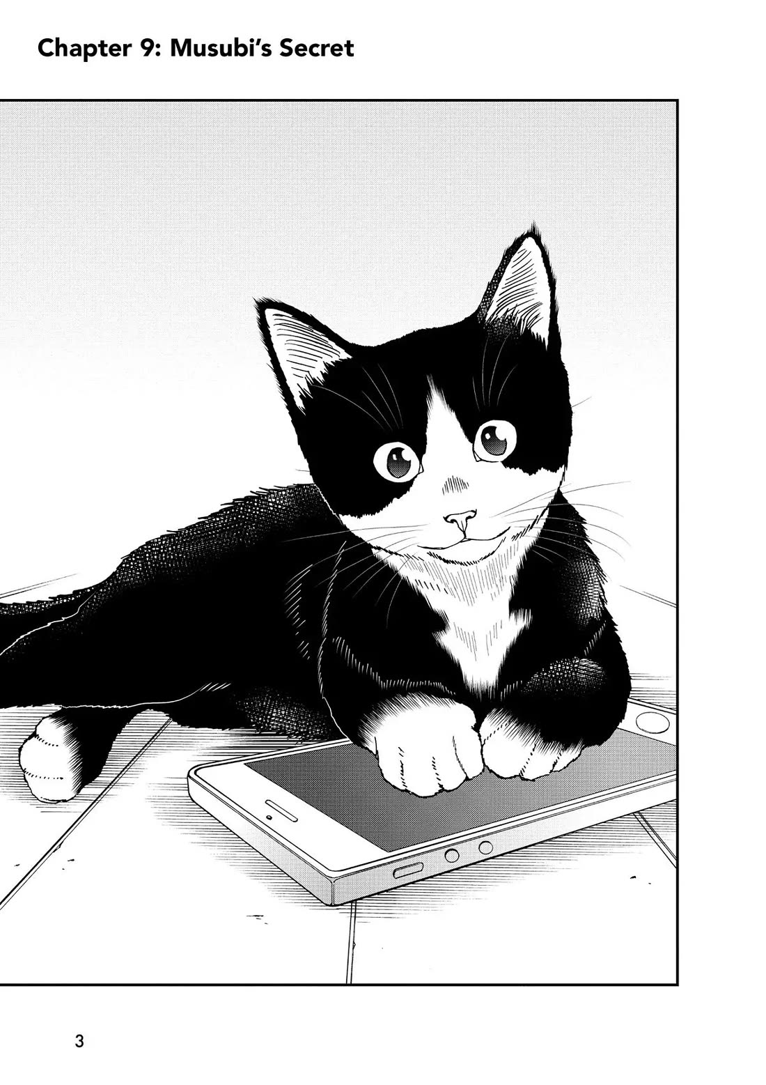 A Gamer Living with a Cat chapter 9 page 3