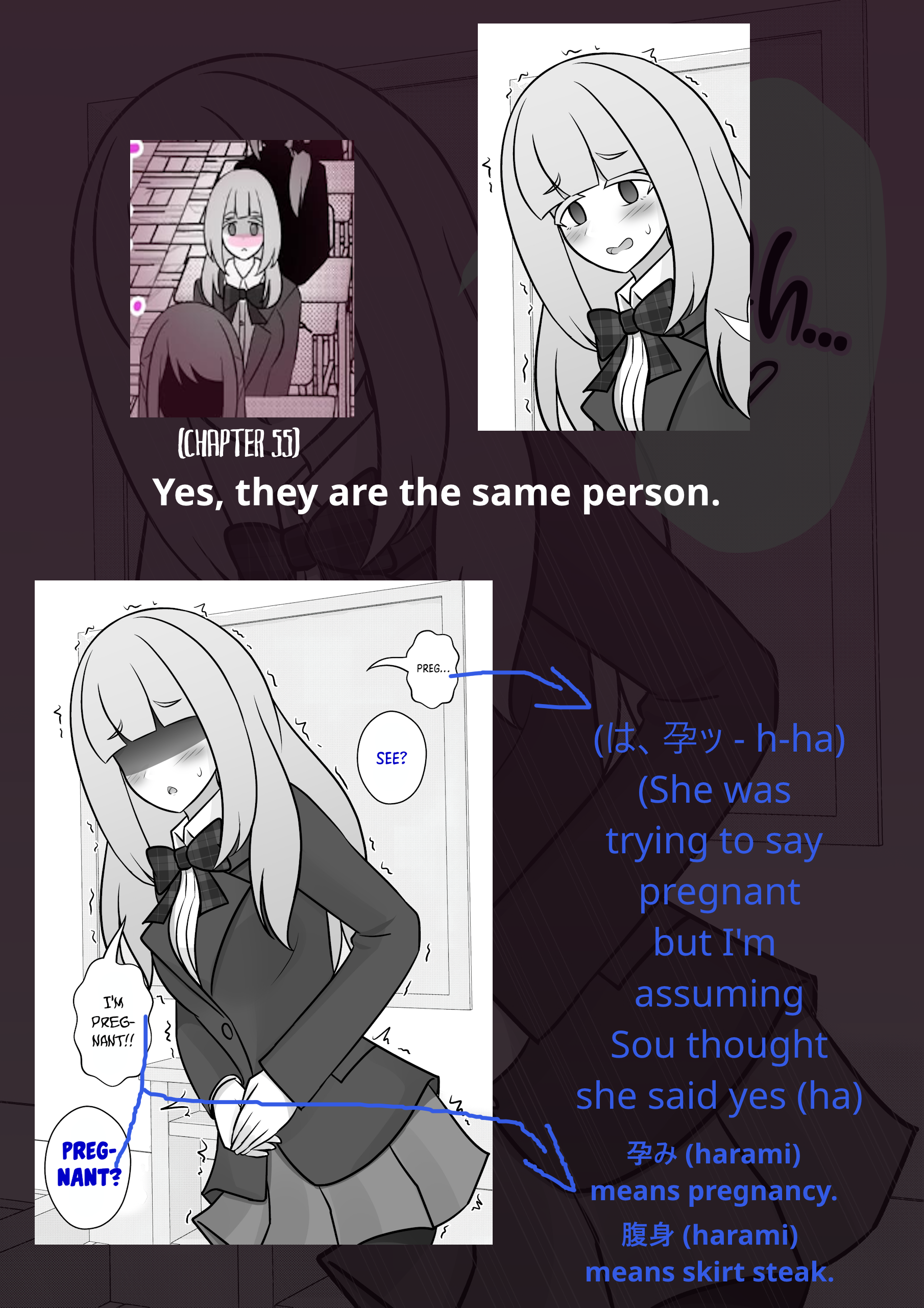 A Parallel World With A 1:39 Male To Female Ratio Is Unexpectedly Normal chapter 114 page 11