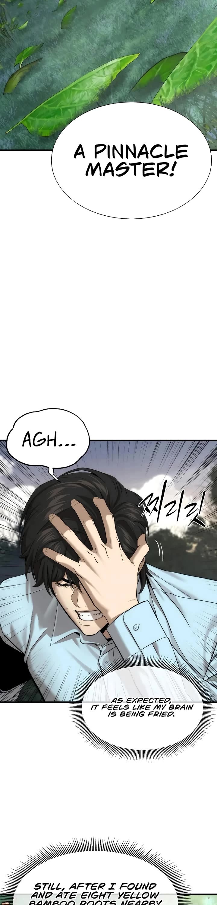 A Regressor's Tale of Cultivation chapter 15 page 35