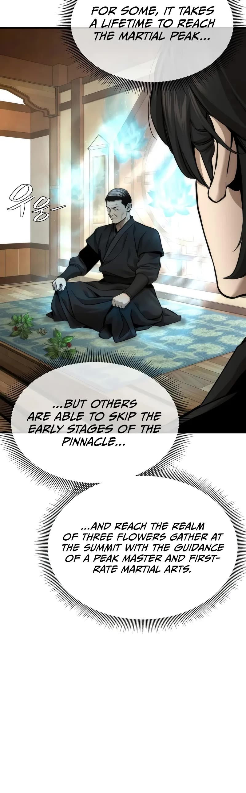 A Regressor's Tale of Cultivation chapter 17 page 6