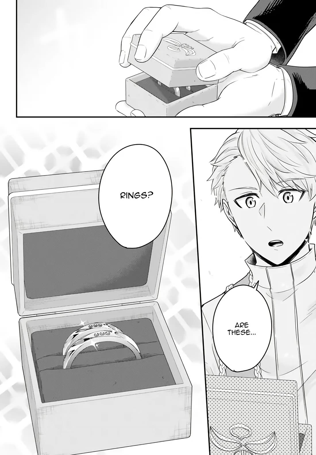 A Single Aristocrat Enjoys a Different World: The Graceful Life of a Man Who Never Gets Married chapter 14 page 31