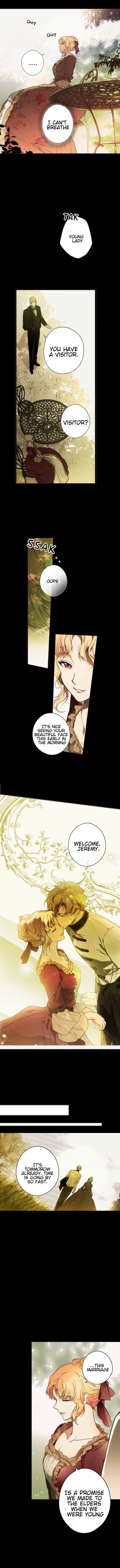 A Stepmother's Märchen chapter 57 page 5