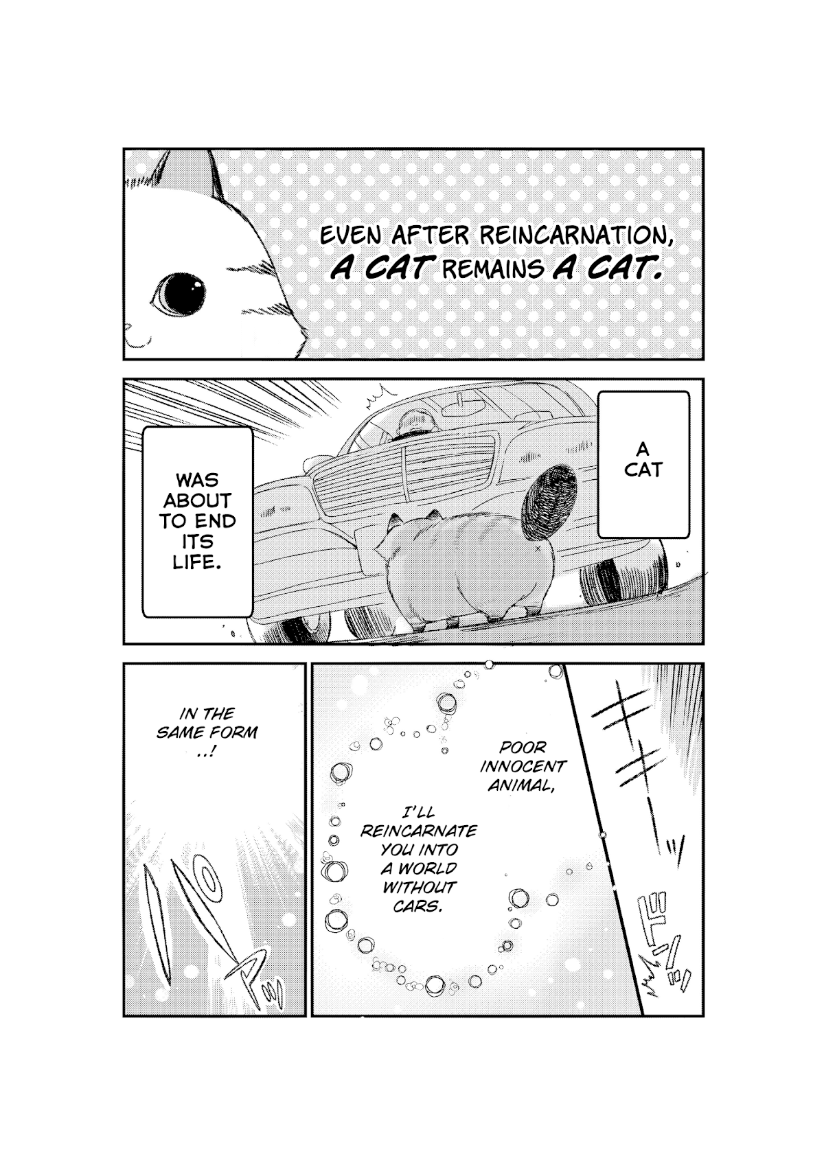 A Story about a Cat Reincarnated in a Different World Where There are no Cats. chapter 1 page 1