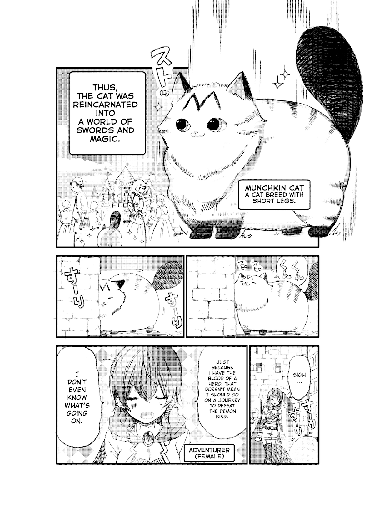 A Story about a Cat Reincarnated in a Different World Where There are no Cats. chapter 1 page 2