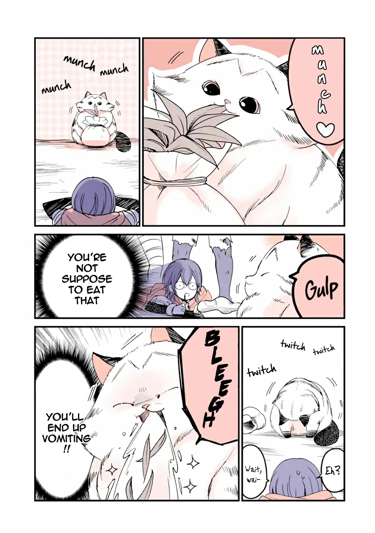 A Story about a Cat Reincarnated in a Different World Where There are no Cats. chapter 13 page 3