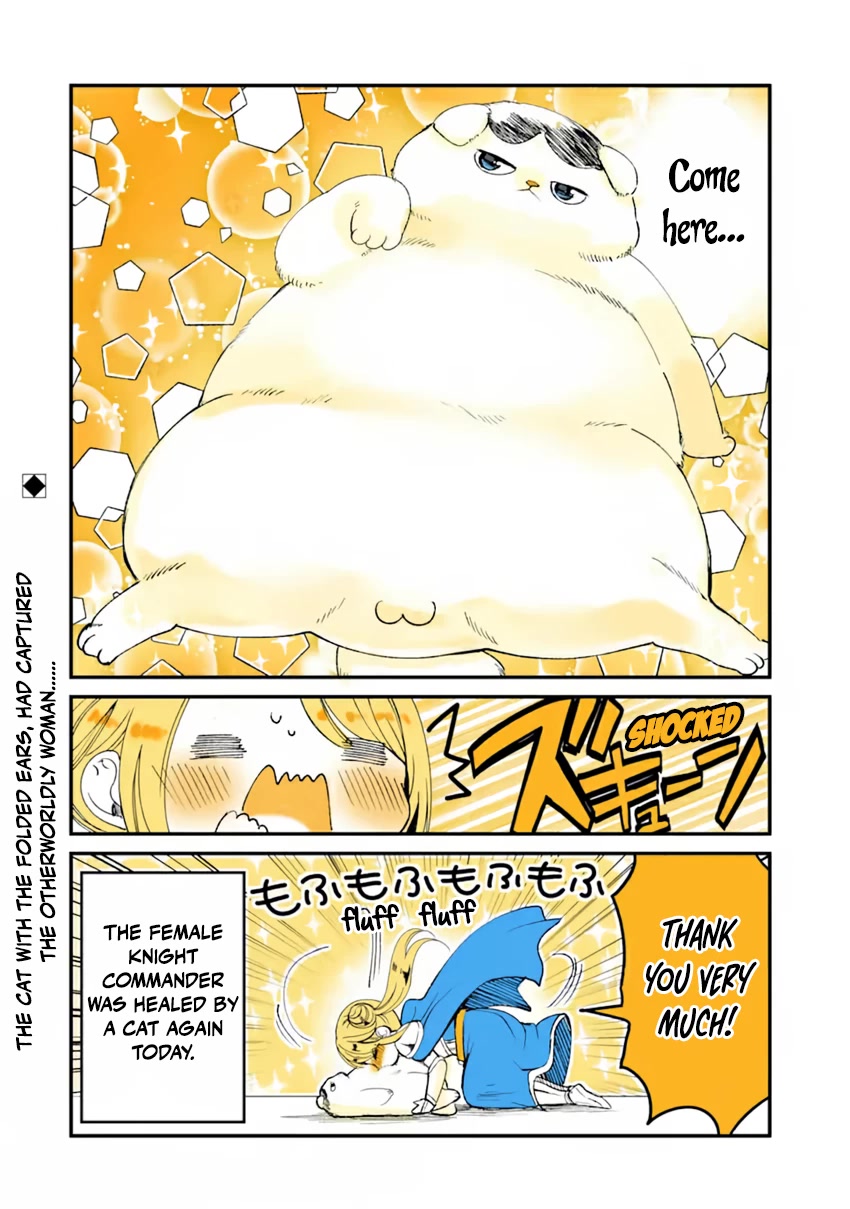 A Story about a Cat Reincarnated in a Different World Where There are no Cats. chapter 14 page 4