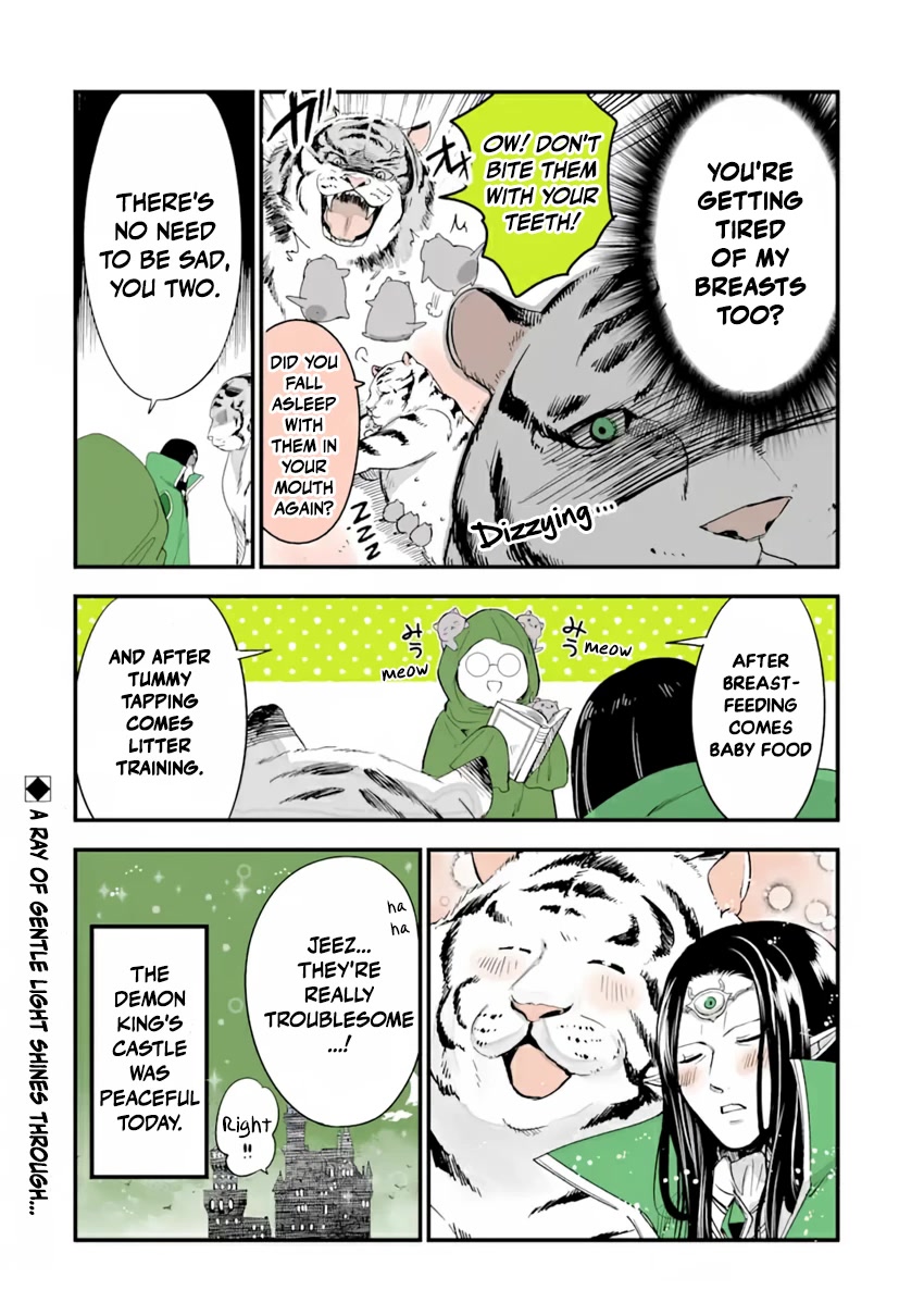 A Story about a Cat Reincarnated in a Different World Where There are no Cats. chapter 17 page 4