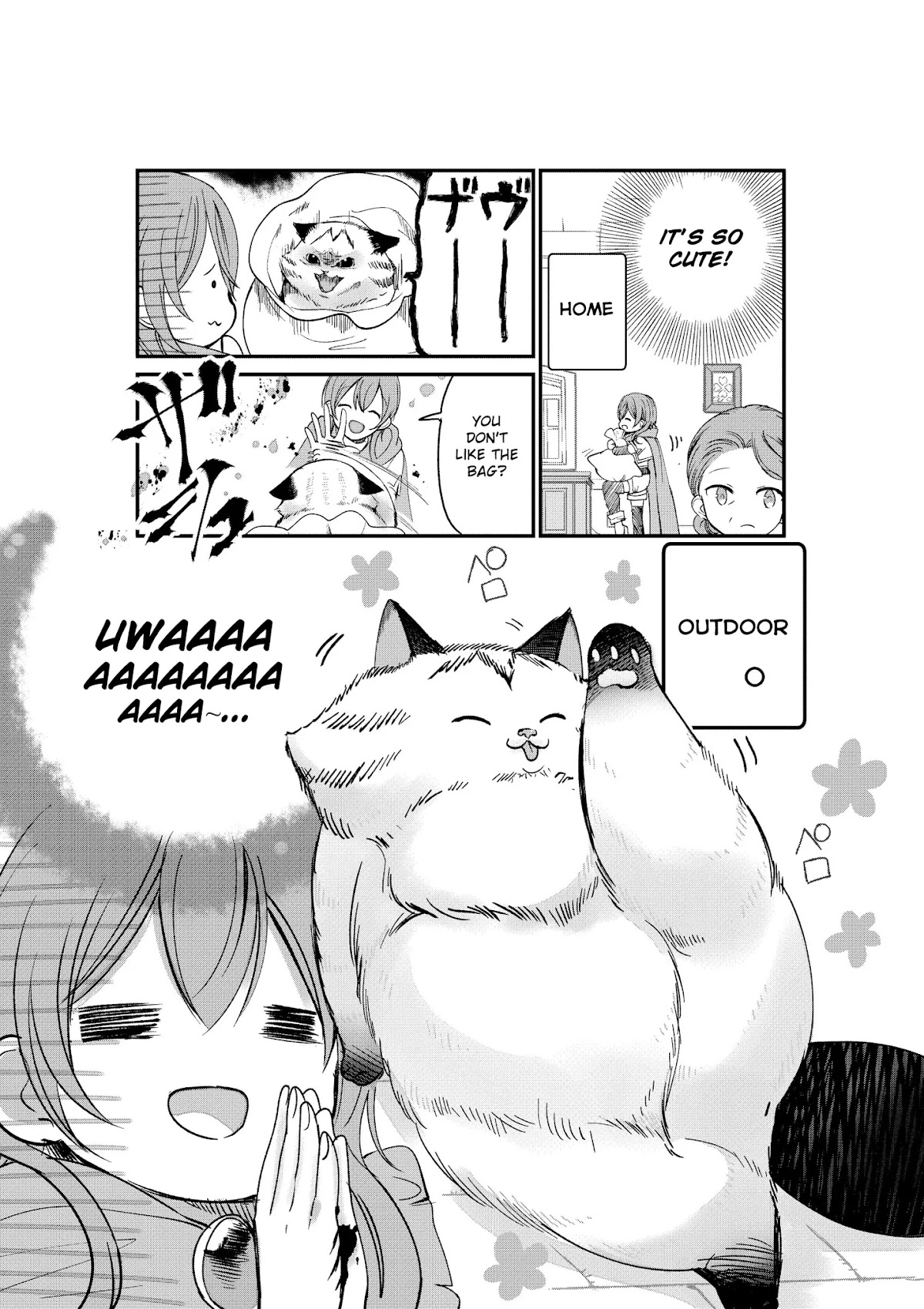 A Story about a Cat Reincarnated in a Different World Where There are no Cats. chapter 2 page 3