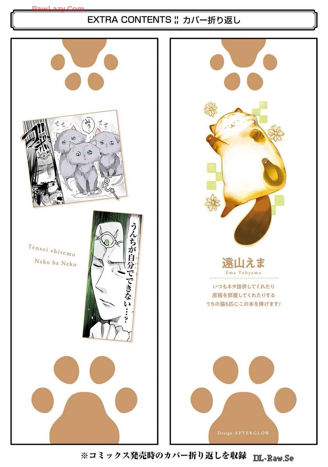 A Story about a Cat Reincarnated in a Different World Where There are no Cats. chapter 23.5 page 11