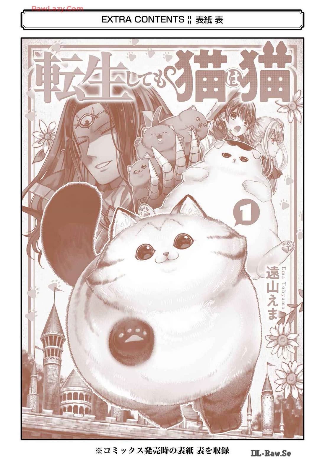 A Story about a Cat Reincarnated in a Different World Where There are no Cats. chapter 23.5 page 12