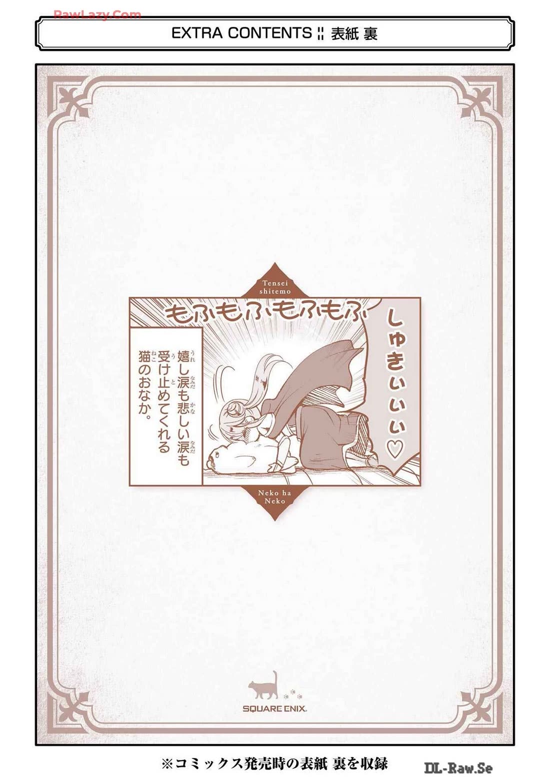 A Story about a Cat Reincarnated in a Different World Where There are no Cats. chapter 23.5 page 13