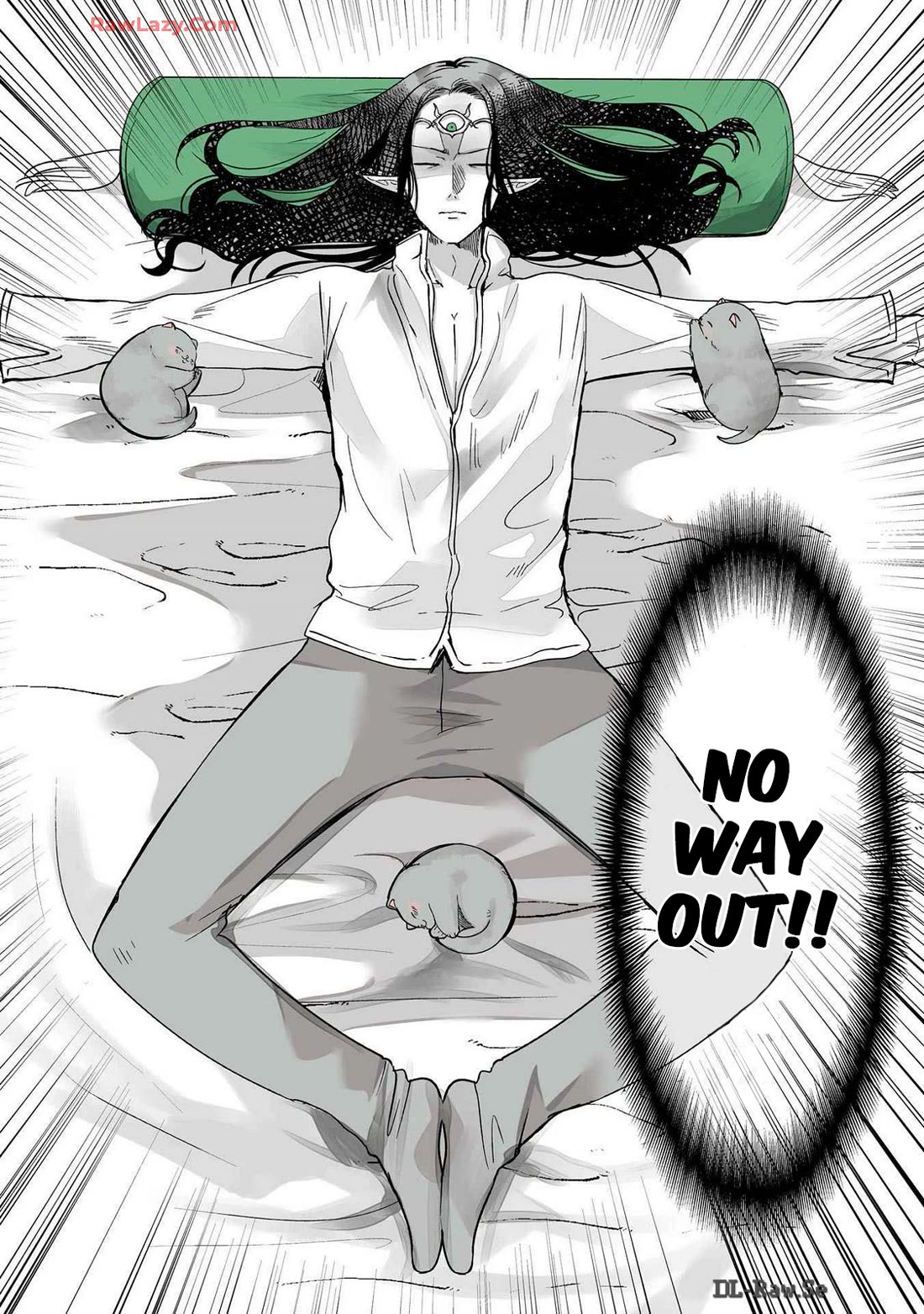 A Story about a Cat Reincarnated in a Different World Where There are no Cats. chapter 23.5 page 2