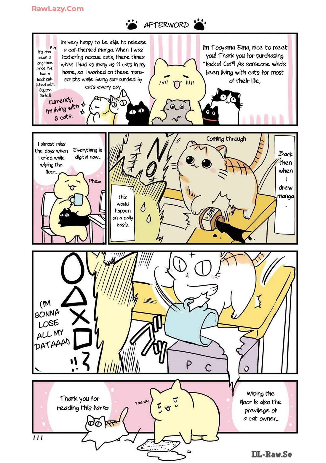 A Story about a Cat Reincarnated in a Different World Where There are no Cats. chapter 23.5 page 9