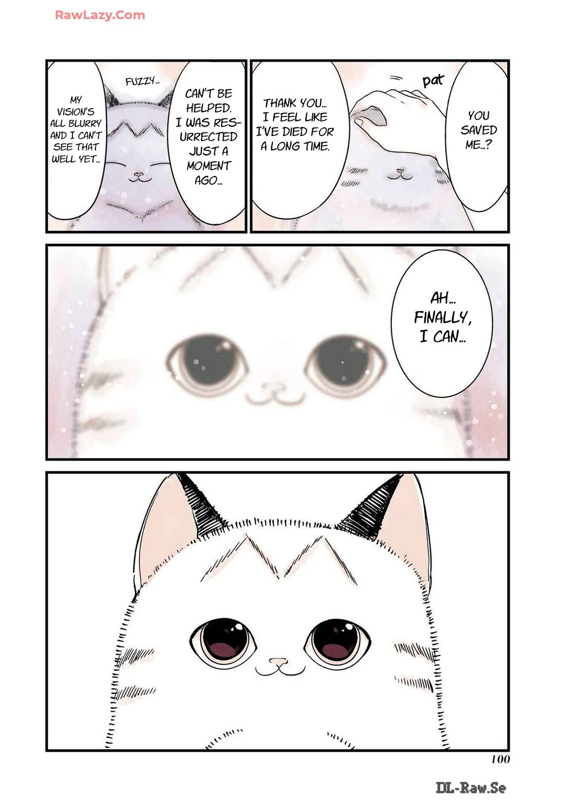 A Story about a Cat Reincarnated in a Different World Where There are no Cats. chapter 23 page 2