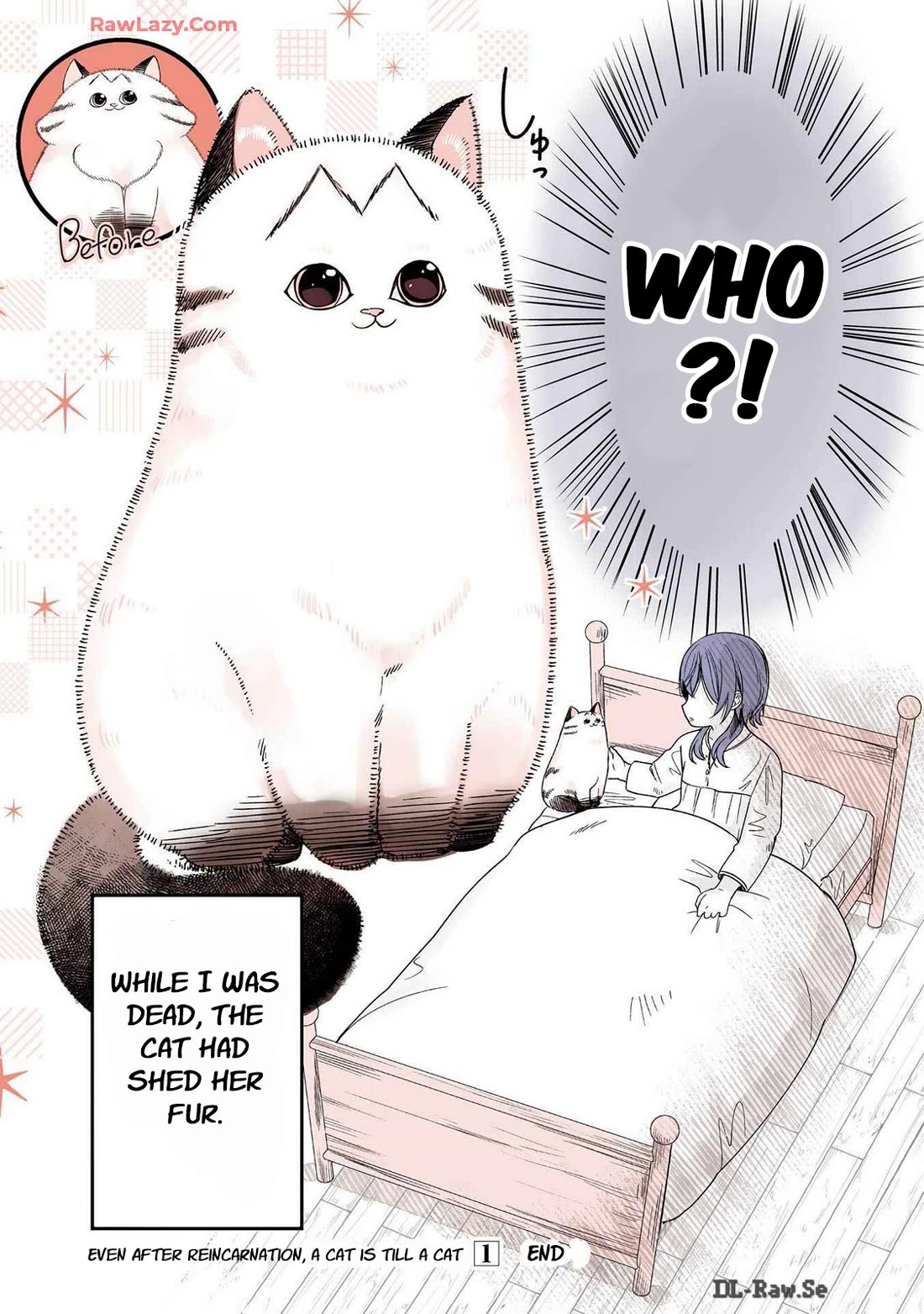 A Story about a Cat Reincarnated in a Different World Where There are no Cats. chapter 23 page 3