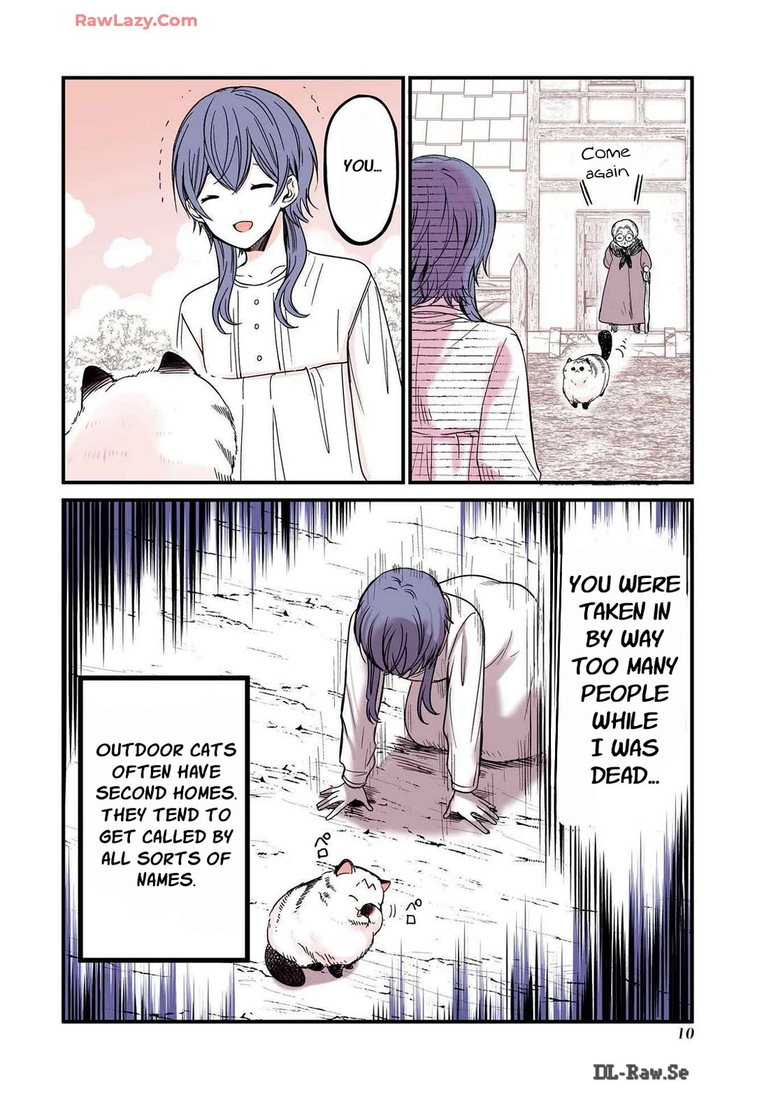 A Story about a Cat Reincarnated in a Different World Where There are no Cats. chapter 25 page 4