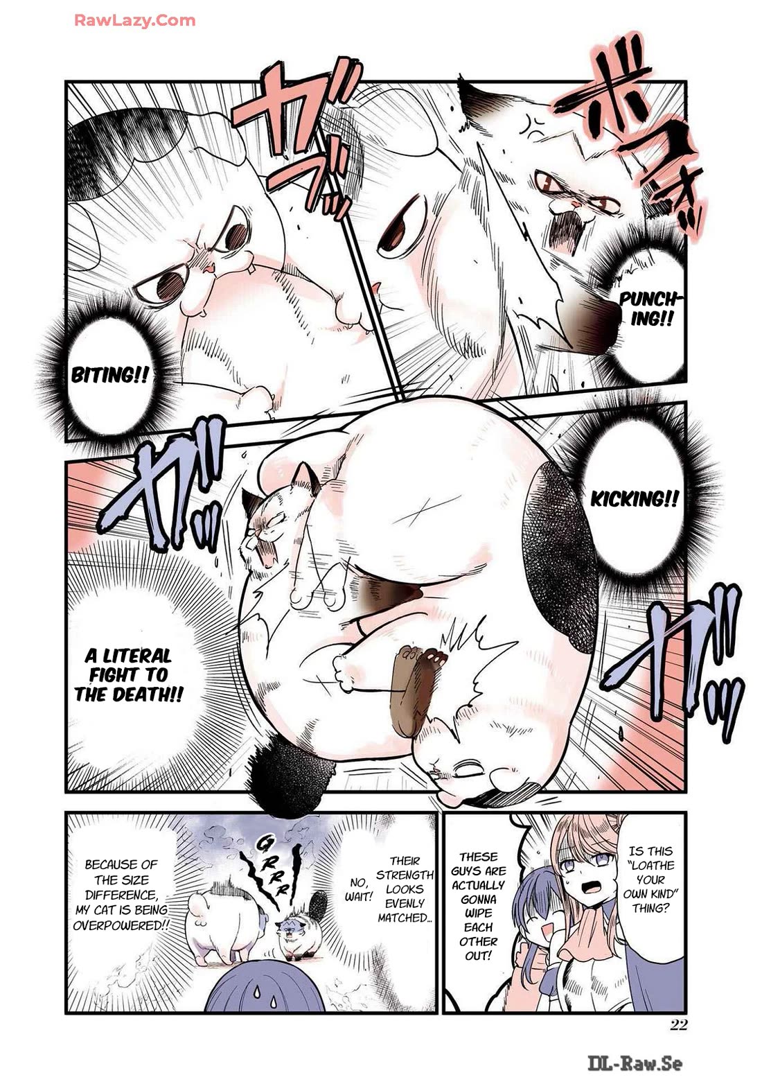 A Story about a Cat Reincarnated in a Different World Where There are no Cats. chapter 28 page 2