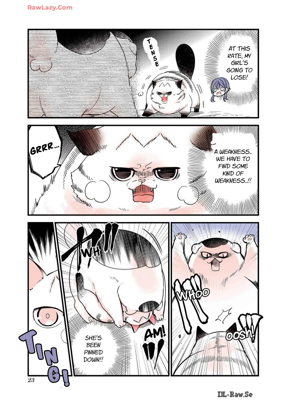 A Story about a Cat Reincarnated in a Different World Where There are no Cats. chapter 28 page 3