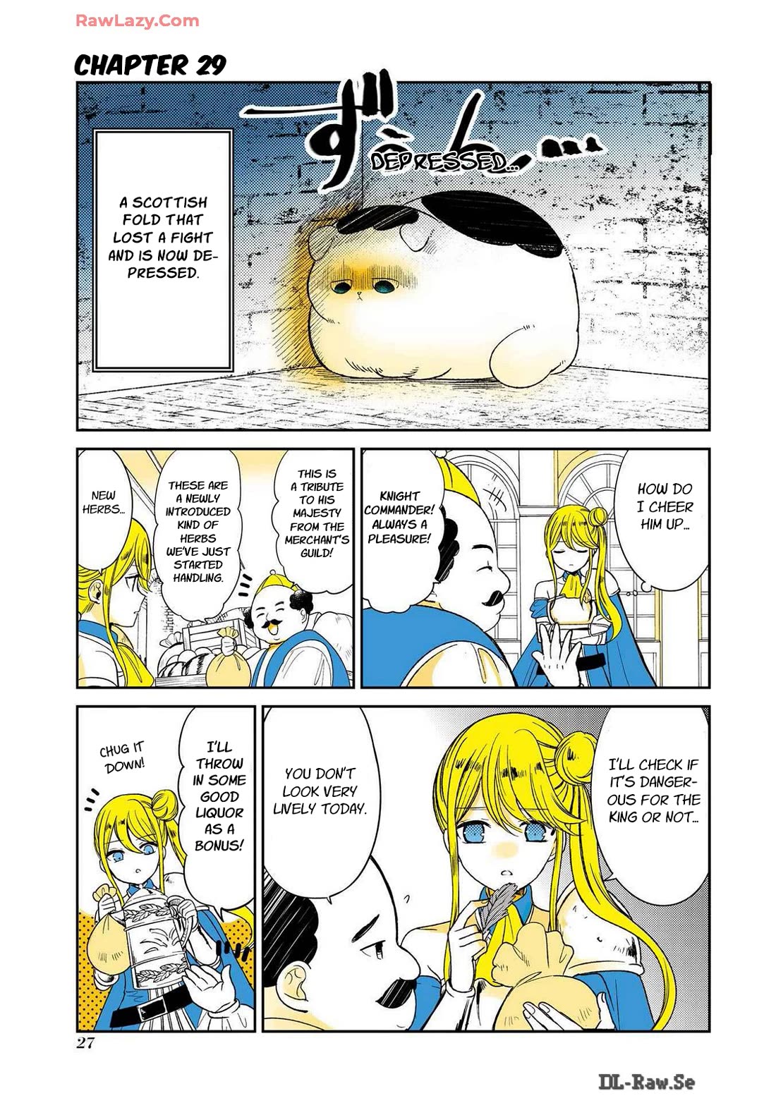 A Story about a Cat Reincarnated in a Different World Where There are no Cats. chapter 29 page 1