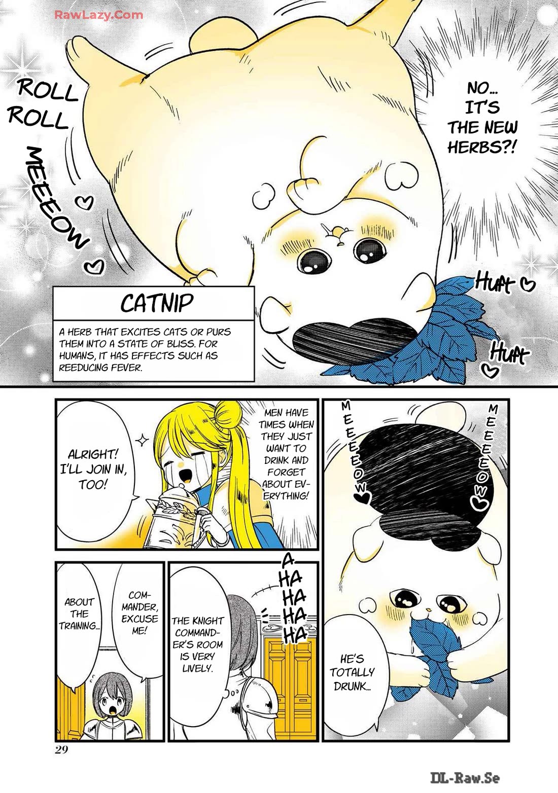 A Story about a Cat Reincarnated in a Different World Where There are no Cats. chapter 29 page 3