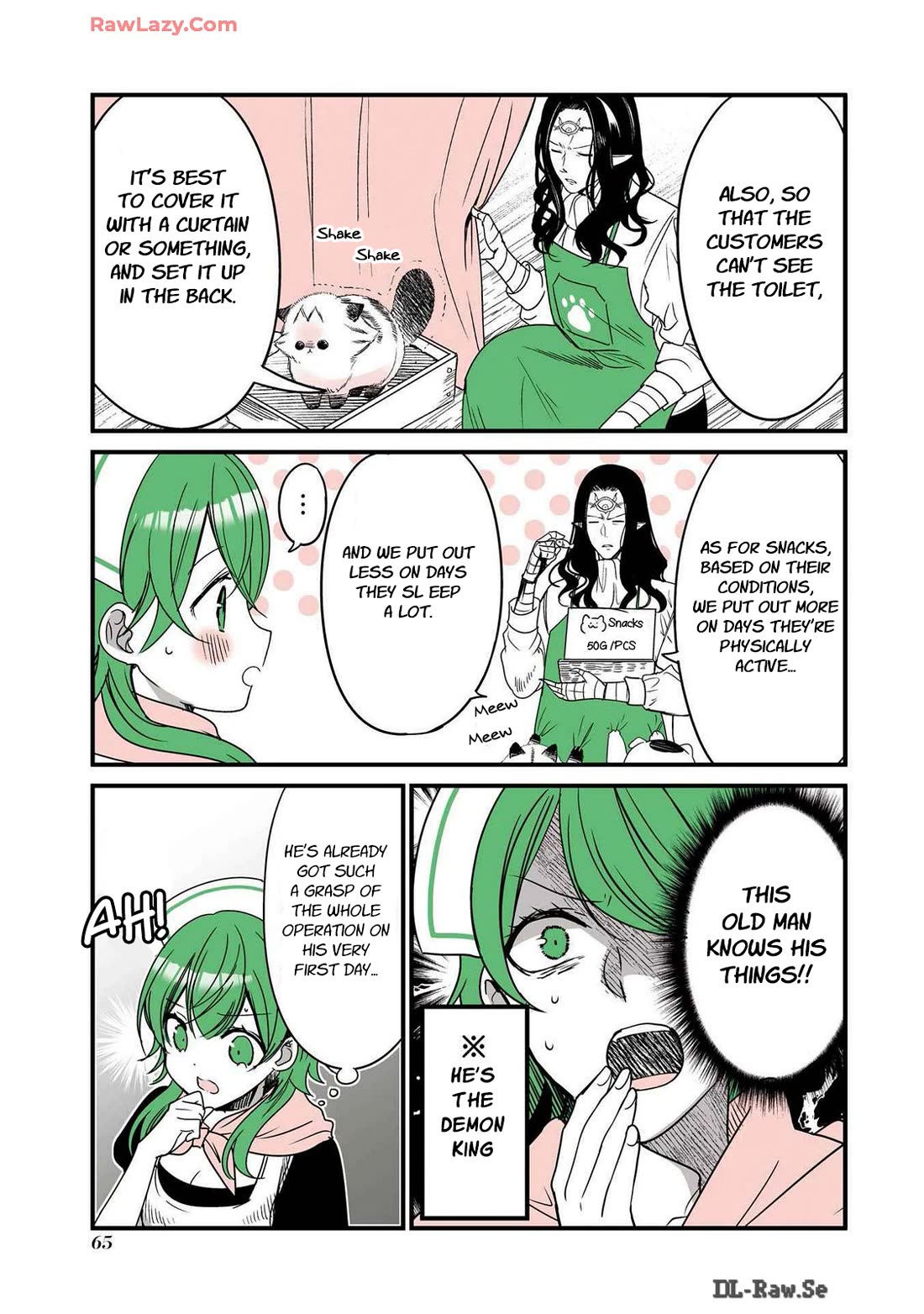 A Story about a Cat Reincarnated in a Different World Where There are no Cats. chapter 36 page 3