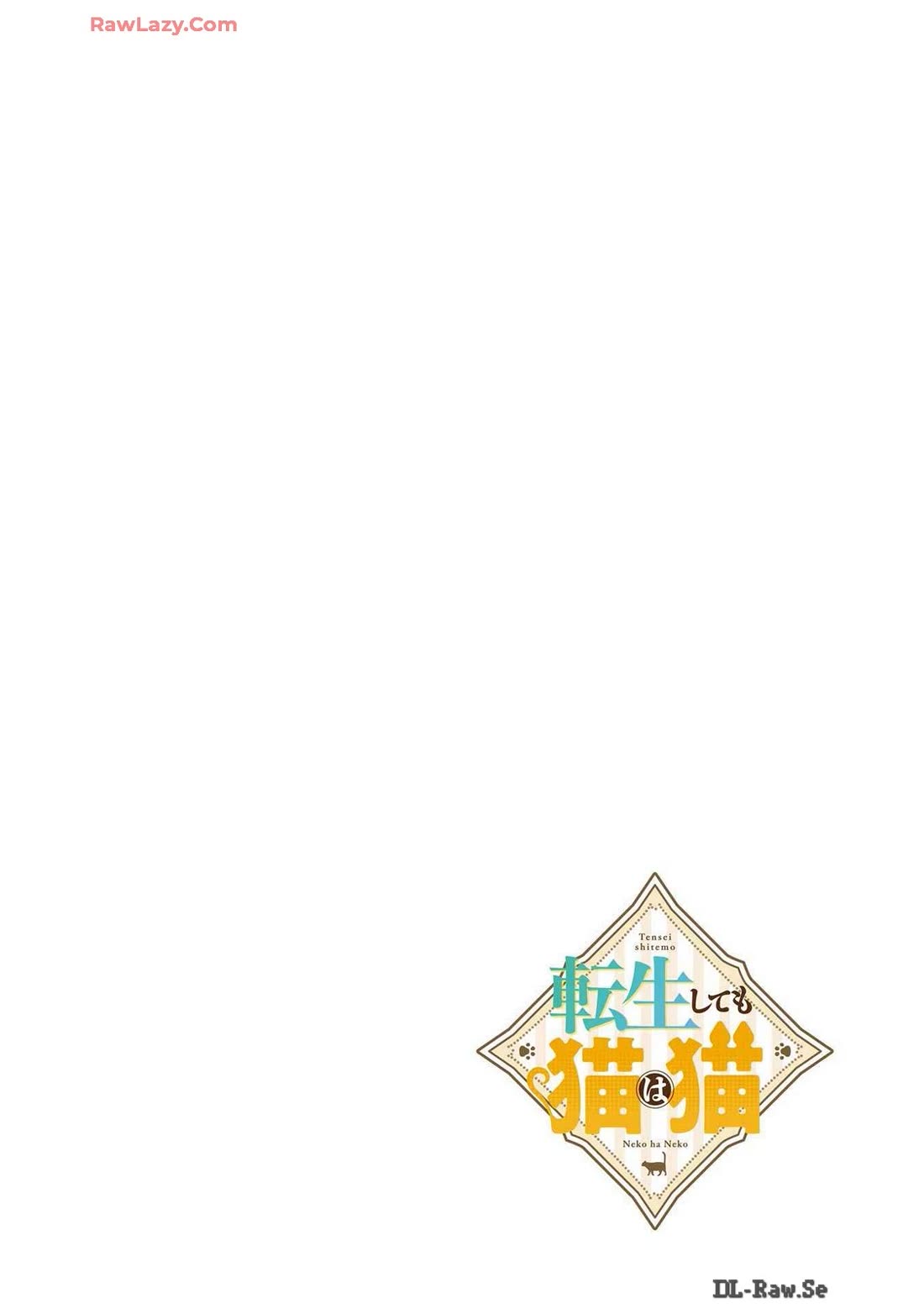 A Story about a Cat Reincarnated in a Different World Where There are no Cats. chapter 39 page 6